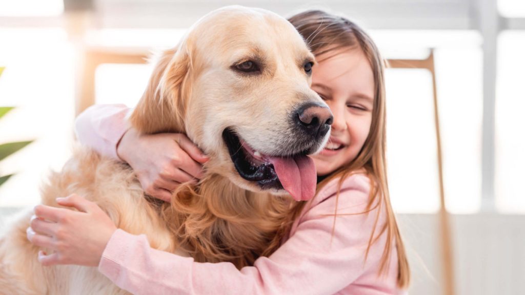 Child Custody Attorney in Oakland