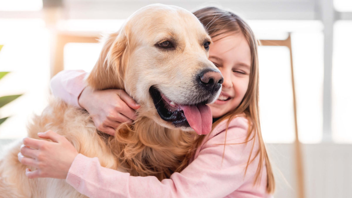Child Custody Attorney in Oakland